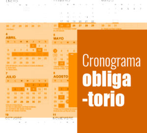 cronograma-obl-peq